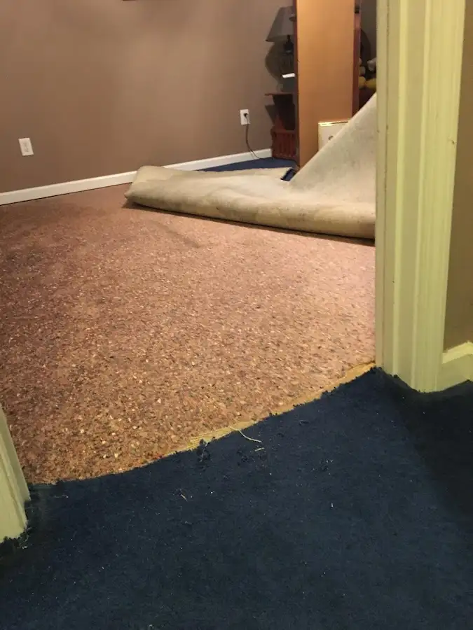 Carpet pad removal revealing water damage during Drying & Dehumidification in Lexington Park