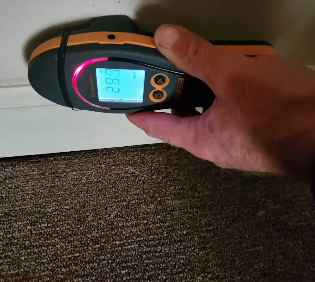 Moisture detection at baseboard during Mold Inspection & Testing in Lexington Park
